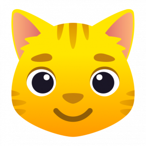 Cat face 