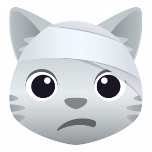 Cat face with head bandage 