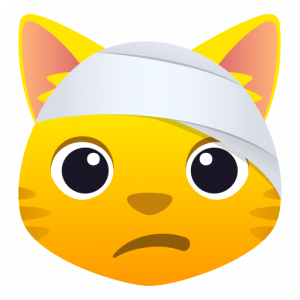 Cat face with head bandage 