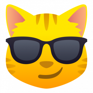Cat face with sunglasses 