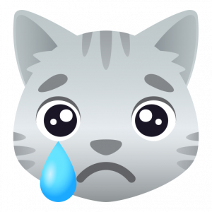 Crying cat 