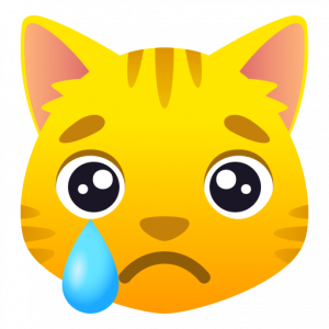 Crying cat 