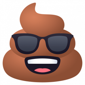 Poo with sunglasses 